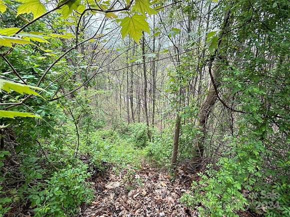 1.3 Acres of Residential Land for Sale in Asheville, North Carolina
