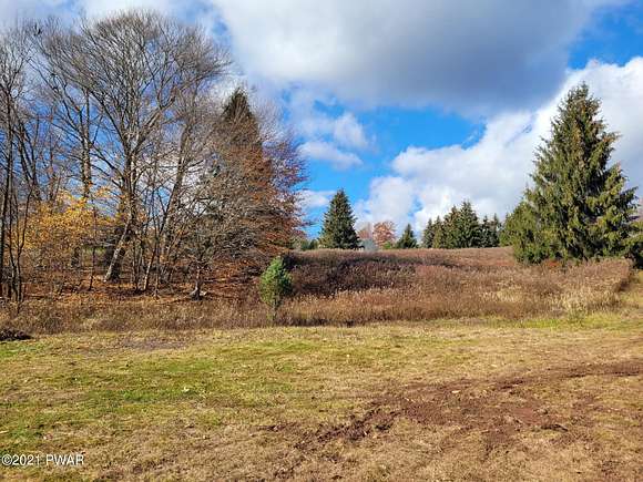 56.5 Acres of Recreational Land for Sale in Honesdale, Pennsylvania
