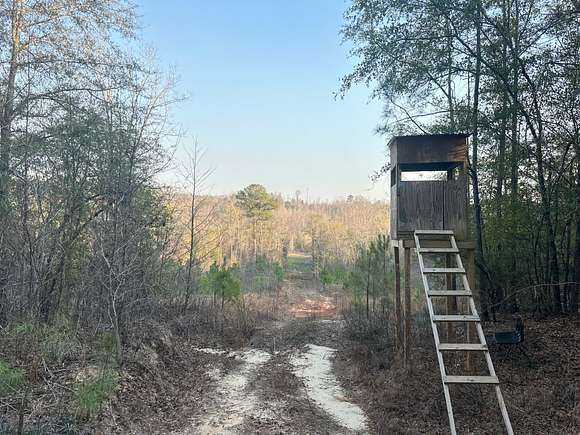80 Acres of Recreational Land for Sale in Marion, Alabama