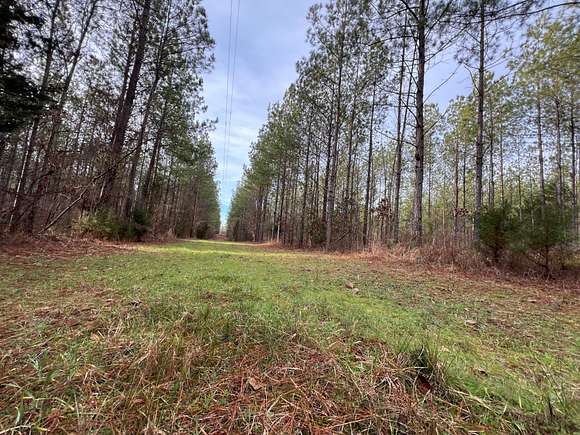 35 Acres of Recreational Land & Farm for Sale in Camp Hill, Alabama