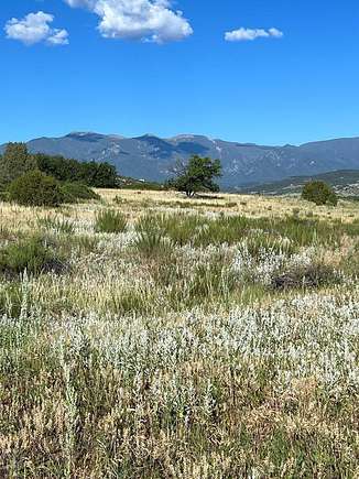 0.31 Acres of Residential Land for Sale in Colorado City, Colorado