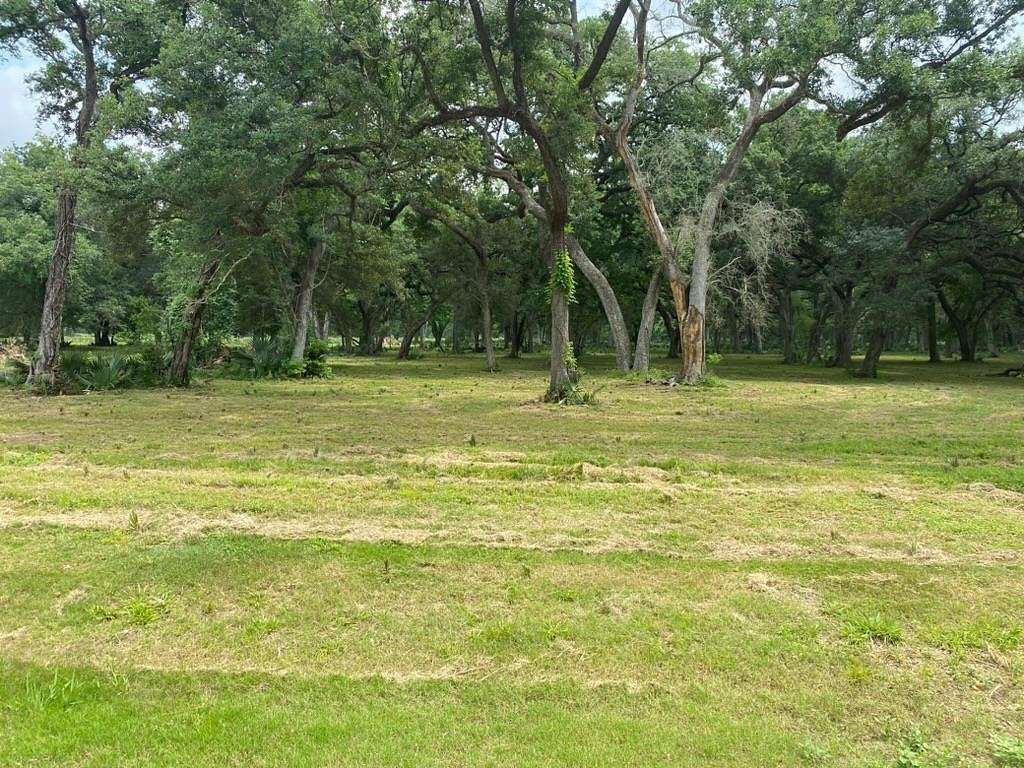 10 Acres of Commercial Land for Sale in Van Vleck, Texas