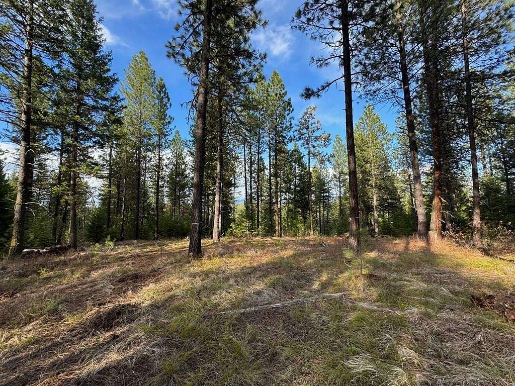 5.8 Acres of Residential Land for Sale in New Meadows, Idaho