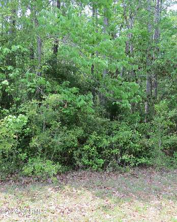 0.27 Acres of Residential Land for Sale in Bolivia, North Carolina