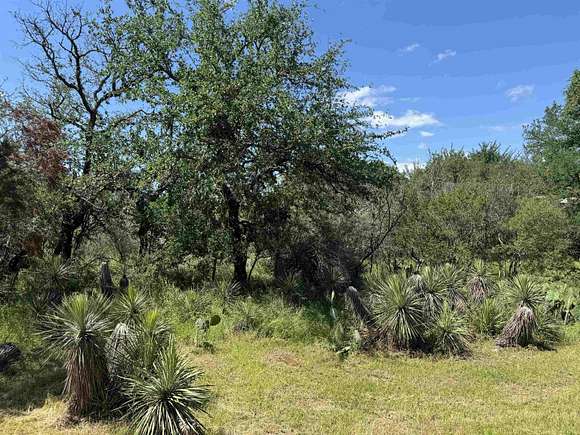 0.23 Acres of Residential Land for Sale in Granite Shoals, Texas