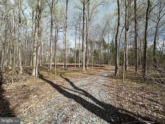 3.2 Acres of Residential Land with Home for Sale in Reva, Virginia