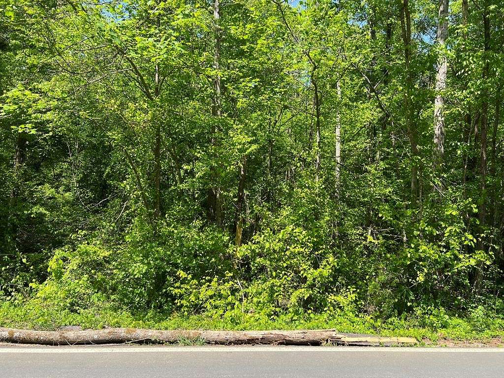 1.7 Acres of Land for Sale in Chatsworth, Georgia