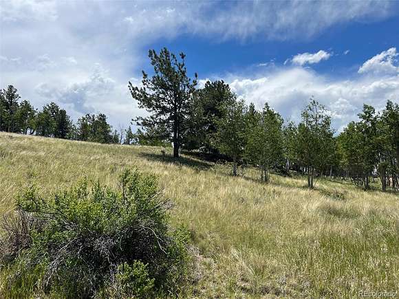 1.6 Acres of Residential Land for Sale in Lake George, Colorado
