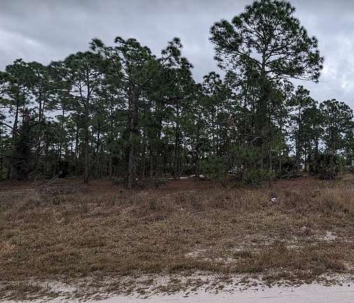 0.37 Acres of Residential Land for Sale in Polk City, Florida