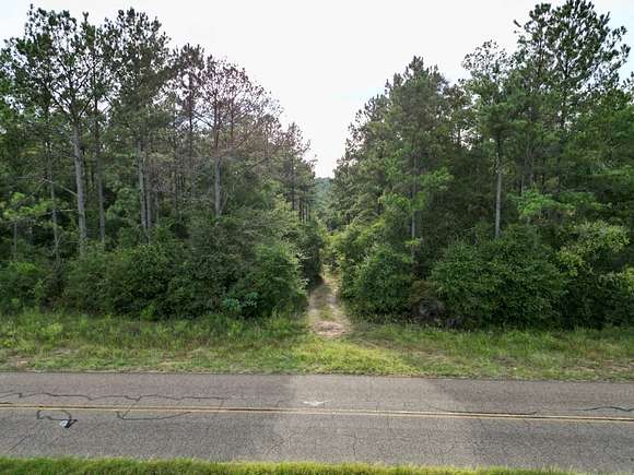50 Acres of Land for Sale in Banks, Alabama