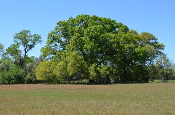 47 Acres of Agricultural Land for Sale in New Hope, Alabama