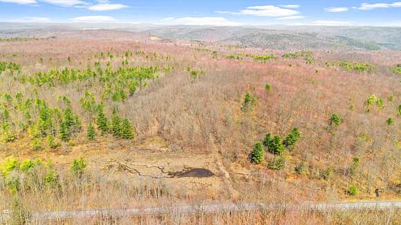 112 Acres of Recreational Land for Sale in Jefferson, New York