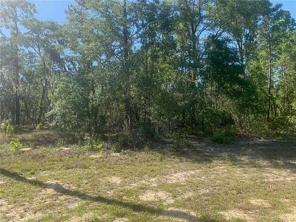 0.69 Acres of Land for Sale in Citrus Springs, Florida