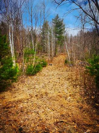 7 Acres of Residential Land for Sale in Cornish, Maine