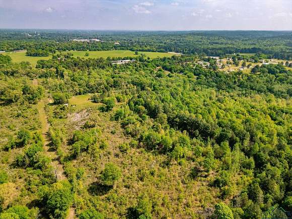42 Acres of Recreational Land for Sale in Daingerfield, Texas