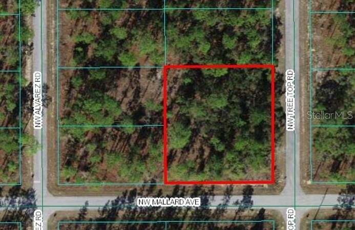 0.51 Acres of Residential Land for Sale in Dunnellon, Florida