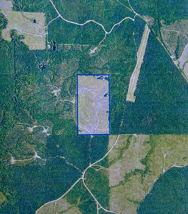 80 Acres of Recreational Land & Farm for Sale in Eros, Louisiana