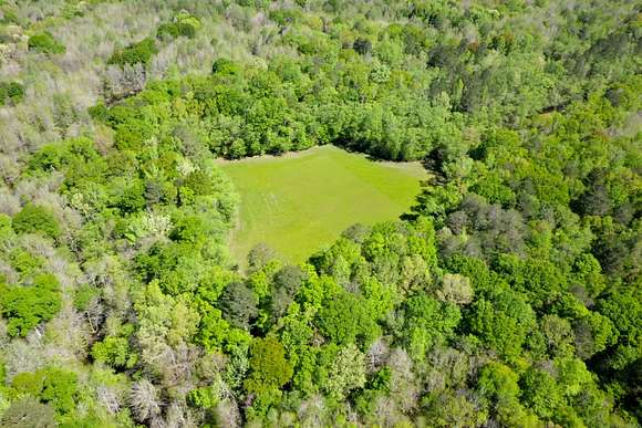 340 Acres of Recreational Land & Farm for Sale in Brantley, Alabama