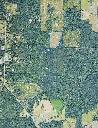 61.3 Acres of Recreational Land & Farm for Sale in Weston, Louisiana