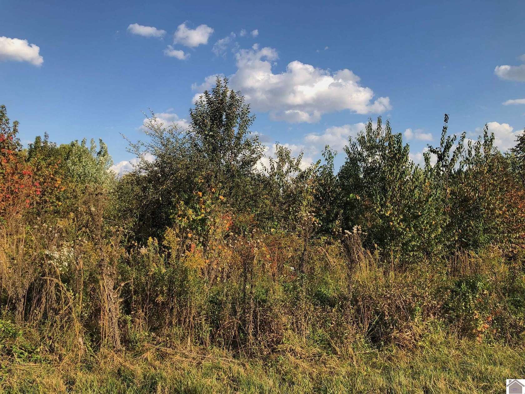 0.37 Acres of Residential Land for Sale in Mayfield, Kentucky