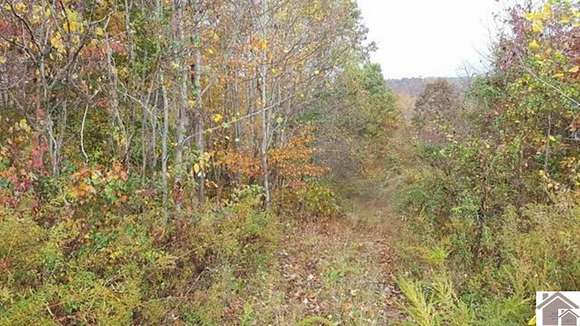 7.5 Acres of Land for Sale in Upper Tygart, Kentucky