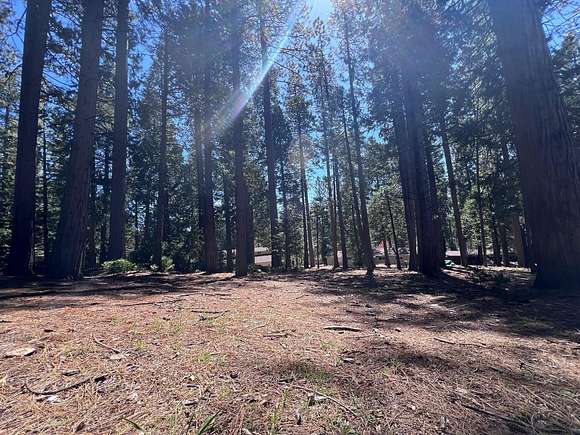 0.41 Acres of Residential Land for Sale in Arnold, California
