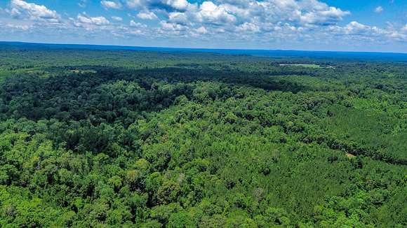 316 Acres of Land for Sale in Hybart, Alabama - LandSearch