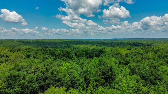 316 Acres of Land for Sale in Hybart, Alabama - LandSearch