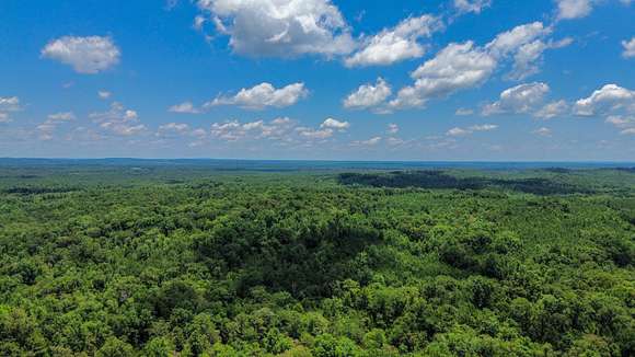 316 Acres of Land for Sale in Hybart, Alabama - LandSearch