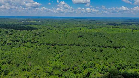 316 Acres of Land for Sale in Hybart, Alabama - LandSearch