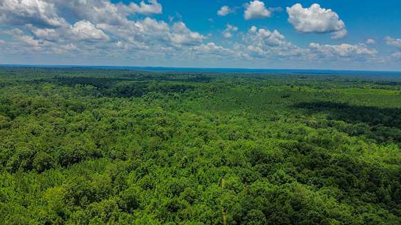 316 Acres of Land for Sale in Hybart, Alabama - LandSearch