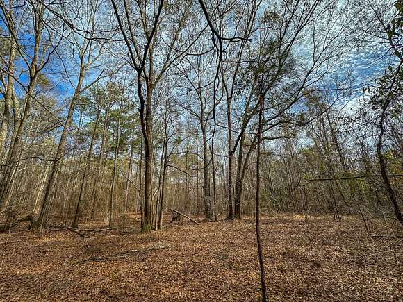 4 Acres of Land for Sale in Midway, Alabama