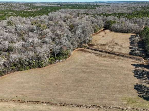 48 Acres of Recreational Land for Sale in Greensboro, Alabama