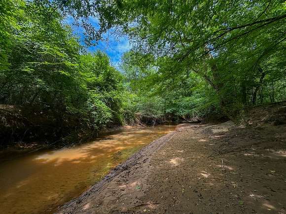 48 Acres of Recreational Land for Sale in Greensboro, Alabama