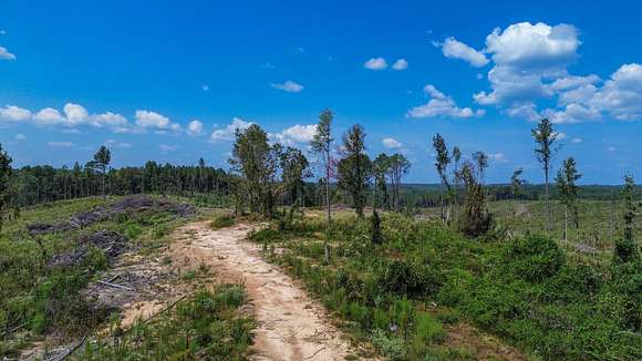 84 Acres of Land for Sale in Bankston, Alabama