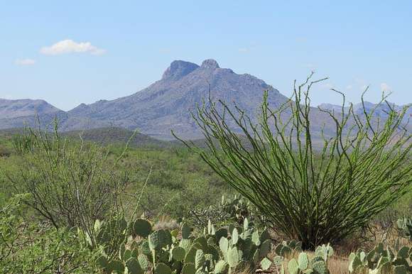 1,166 Acres of Recreational Land for Sale in Douglas, Arizona