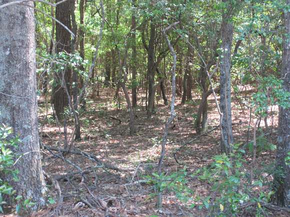 4.05 Acres of Residential Land for Sale in Aiken, South Carolina