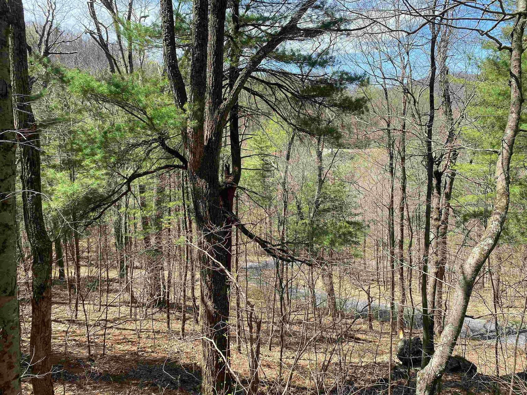 0.81 Acres of Residential Land for Sale in Stanley, Virginia