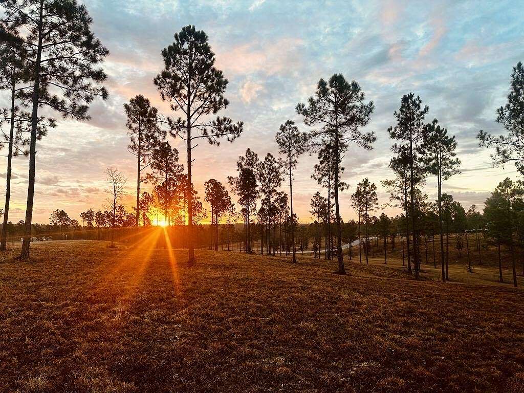 5 Acres of Land for Sale in Aiken, South Carolina