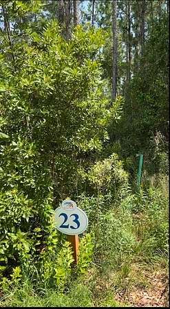 0.25 Acres of Residential Land for Sale in Freeport, Florida