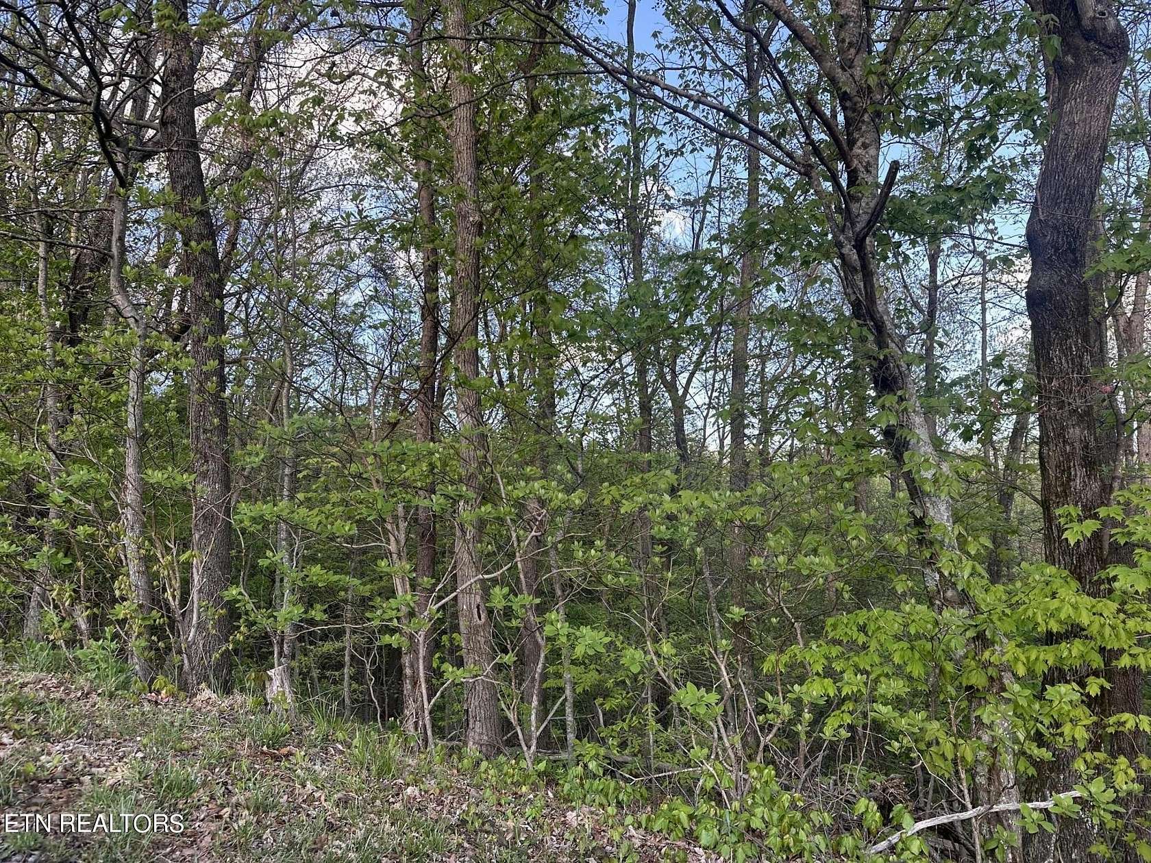 0.43 Acres of Residential Land for Sale in Crab Orchard, Tennessee