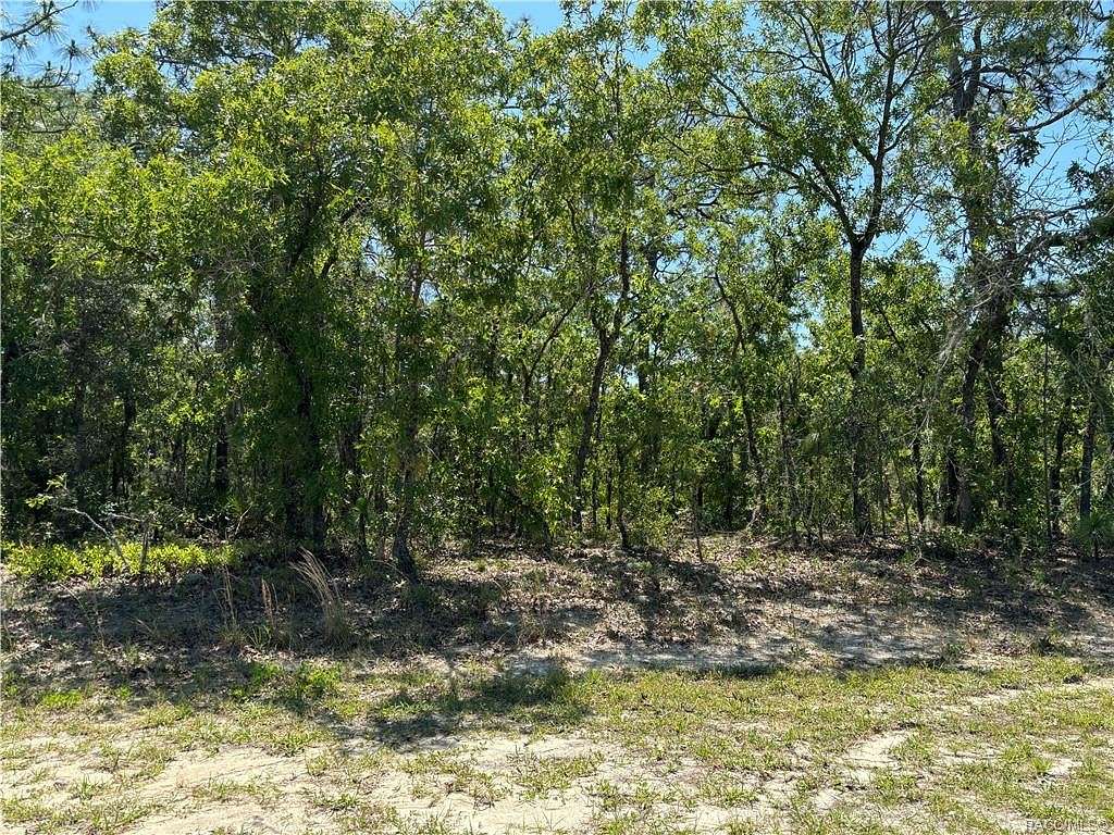 0.37 Acres of Land for Sale in Citrus Springs, Florida