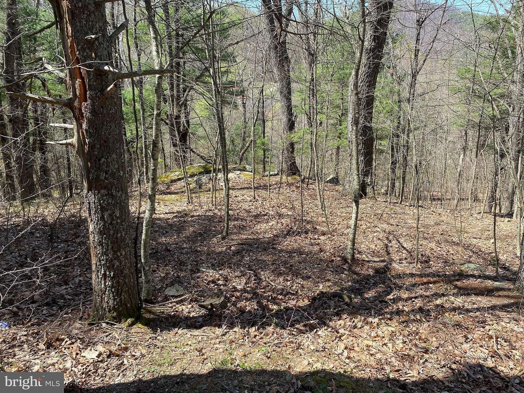 0.82 Acres of Land for Sale in Stanley, Virginia