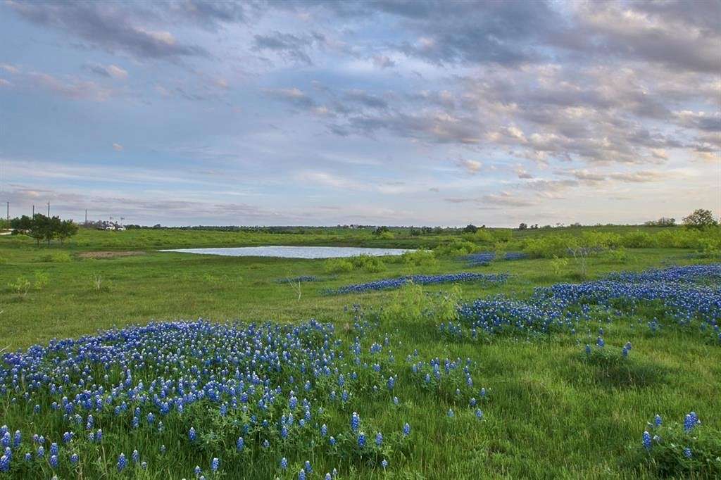 Land for Sale in Thrall, Texas
