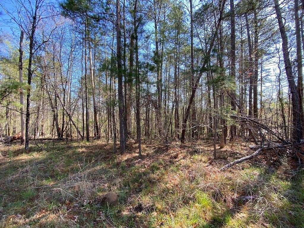 0.5 Acres of Residential Land for Sale in Sparta, Georgia