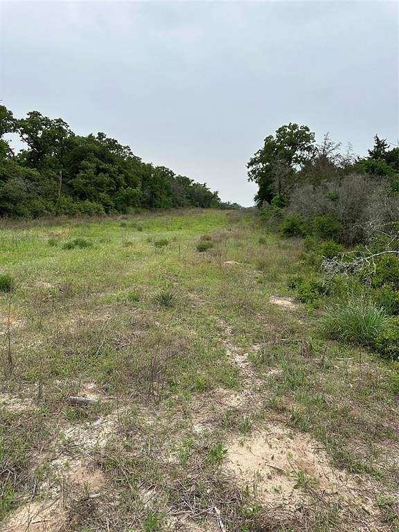 58.1 Acres of Recreational Land for Sale in Groesbeck, Texas