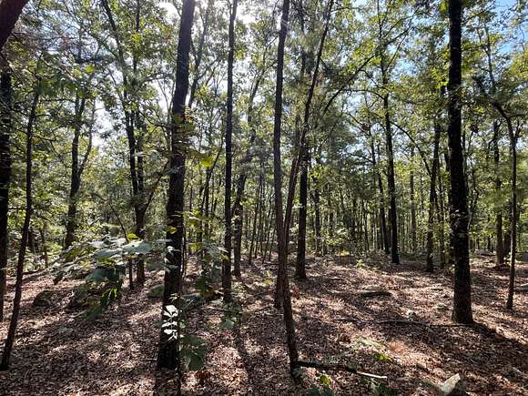 3.29 Acres of Residential Land for Sale in Antlers, Oklahoma - LandSearch