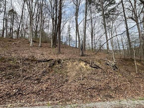 14.5 Acres of Land for Sale in Ashcamp, Kentucky