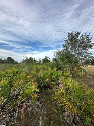 0.253 Acres of Residential Land for Sale in Lehigh Acres, Florida