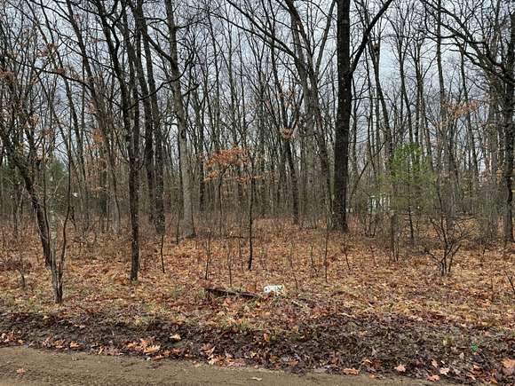 0.41 Acres of Residential Land for Sale in Wellston, Michigan
